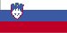 slovenian OTHER < $1 BILLION - Descripció de la Indústria d Especialització (pàgina 1)